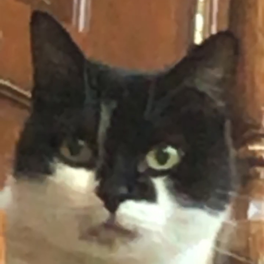 Meet your Posher, Sabrina